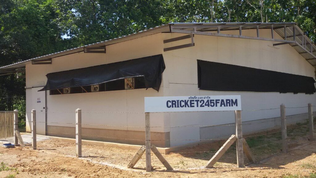 Ferme d'élevage de crickets